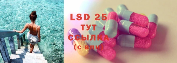 ПСИЛОЦИБИНОВЫЕ ГРИБЫ Вязьма