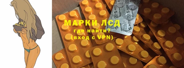 ПСИЛОЦИБИНОВЫЕ ГРИБЫ Вязьма