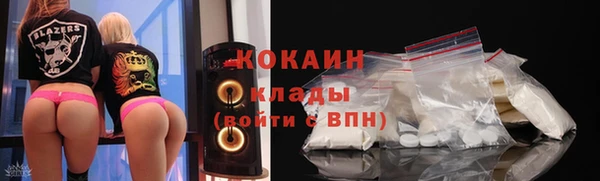 прущие грибы Бронницы