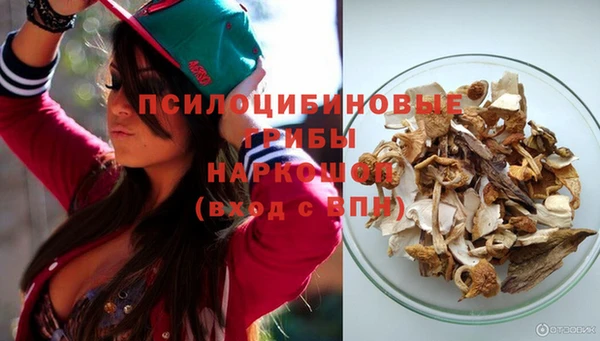 PSILOCYBIN Володарск