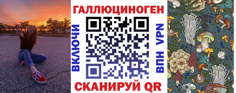 Псилоцибиновые грибы Psilocybe  KRAKEN ссылка  Железногорск-Илимский 